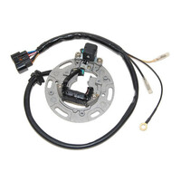 ElectroSport Stator Coil for 2001-2005 Kawasaki KX100