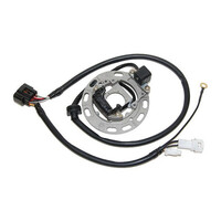 ElectroSport Stator Coil for 2006-2013 Kawasaki KX85