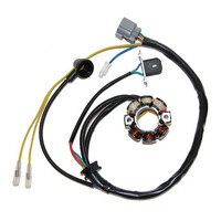 ElectroSport Stator Coil for 2004 Kawasaki KX250F