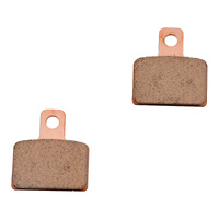 Goldfren K5 Sintered  Rear Brake Pads for 2006-2009 Sherco 2.9 Trials