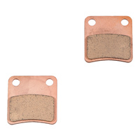 Goldfren S3 Sintered  Park Brake Pads for 2015-2020 BMW C650GT