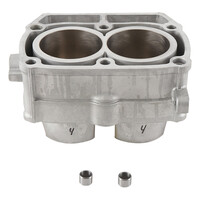 Cylinder for 2008 Polaris 700 Sportsman X2 Twin EFI - Standard Bore 80mm 10.2:1