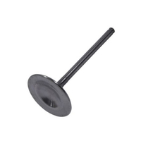 Hot Cams Steel Centre Intake Valve for1998-2002 Yamaha WR400F