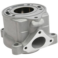  Cylinder for 2021-2023 GasGas MC 50 - - Standard Bore 39.5mm