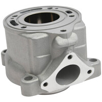 Cylinder for 2009-2023 KTM 50 SX - Standard Bore 39.5mm
