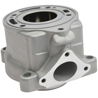 Cylinder for 2009-2023 KTM 50 SX - Standard Bore 39.5mm