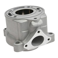 Cylinder for 2009-2023 KTM 50 SX Mini