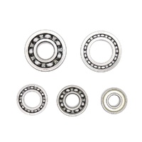 Hot Rods Transmission Bearing Kit for 2009-2013 Honda TRX420FPA