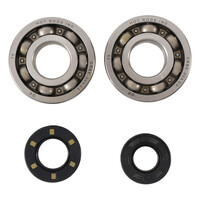 Hot Rods Main Bearings & Seals for 1987-2001 Kawasaki KX250