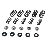 Valve Spring Kit for 2001-2005 Yamaha 660 Raptor
