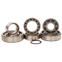 Hot Rods Transmission Bearing Kit for 2001-2008 Suzuki RM250