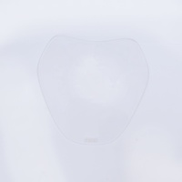 R&G Headlight Shield for 2019-2021 BMW R1250R