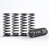 Hinson Hi-Temp Clutch Springs for 2019-2026 Honda CRF250RX