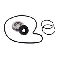 Water Pump Rebuild Kit for 2019-2020 Polaris RZR XP 4 1000