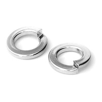 Washer Spring Zinc Plated - 8mm (50 Pack)