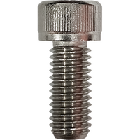 Allen Screw Stainless Steel 8x20mm (Pack of 25)