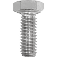 Hex Bolt Stainless Steel 6mm x 16mm (Pack of 25)