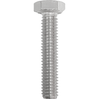 Hex Bolt Stainless Steel 6mm x 30mm (Pack of 25)