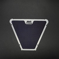 R&G Titanium Oil Cooler Guard for 2020-2024 Ducati Streetfighter V4
