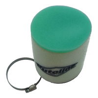 Putoline Air Filter for 2021 Honda TRX250TM1 