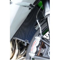 R&G Titanium Radiator Guard for 2010-2014 BMW S1000RR