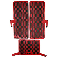 R&G Pro Radiator & Pro Oil Cooer Guard for 2021-2024 Ducati Multistrada V4