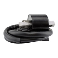 Ignition Coil for 2004 Polaris Ranger 500 6X6