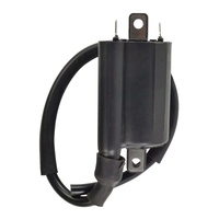 External Ignition Coil for 1995-2003 Kawasaki KEF300 Lakota