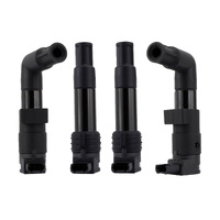 Ignition Stick Coil Pack for 2006 BMW HP2 Enduro