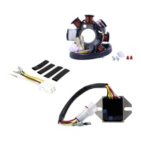 RMStator AC to DC 100W Stator & Regulator Kit for 2015 Beta RR430 4T