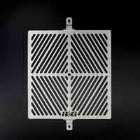 R&G Stainless Steel Radiator Guard for 2019-2025 Triumph Scrambler 1200 XE