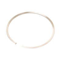 Vertex 2 Stroke Piston Ring for 22447150