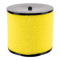 Air Filter for 2020-2025 Honda TRX520FM2