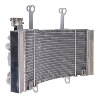 Radiator for 2021 KTM 450 Rally Replica