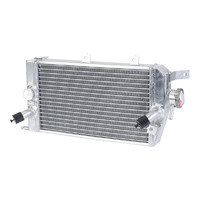 Whites Powersports Radiator for 2010 Kawasaki KLR650