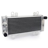 Radiator for 2013-2014 Kawasaki Ninja 300 ABS