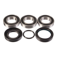 Rear Wheel Bearing & Seal Kit for 2001-2009 Honda TRX250EX Sportrax 