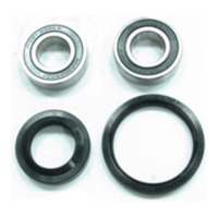 Front Wheel Bearing & Seal Kit for 1996-2004 Honda XR400R 