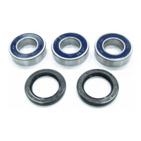 Rear Wheel Bearing & Seal Kit for 2000-2012 Suzuki RM250 