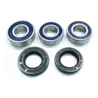 Rear Wheel Bearing & Seal Kit for 1990-1999 Suzuki DR350 