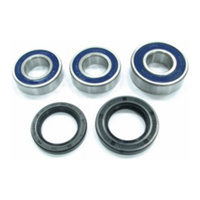 Rear Wheel Bearing & Seal Kit for 2000-2023 Suzuki DRZ400E 