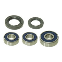 Rear Wheel Bearing & Seal Kit for 1974-1975 Yamaha MX175 