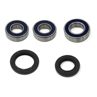 Rear Wheel Bearing & Seal Kit for 2013-2018 GasGas EC300 F 