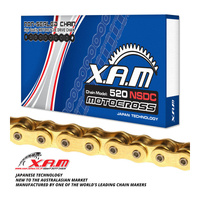 XAM 520NSDC Gold Chromised Chain with Clip Link (104L)