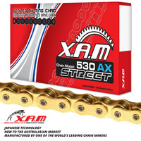 XAM 530AX X-Ring Motorbike Chain - Gold / Gold (102L)