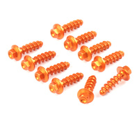Zeta Plastic Tapping Screw Set (10 Piece) for 2015-20162021-20222024-2025 KTM 250 EXCF Six Days 